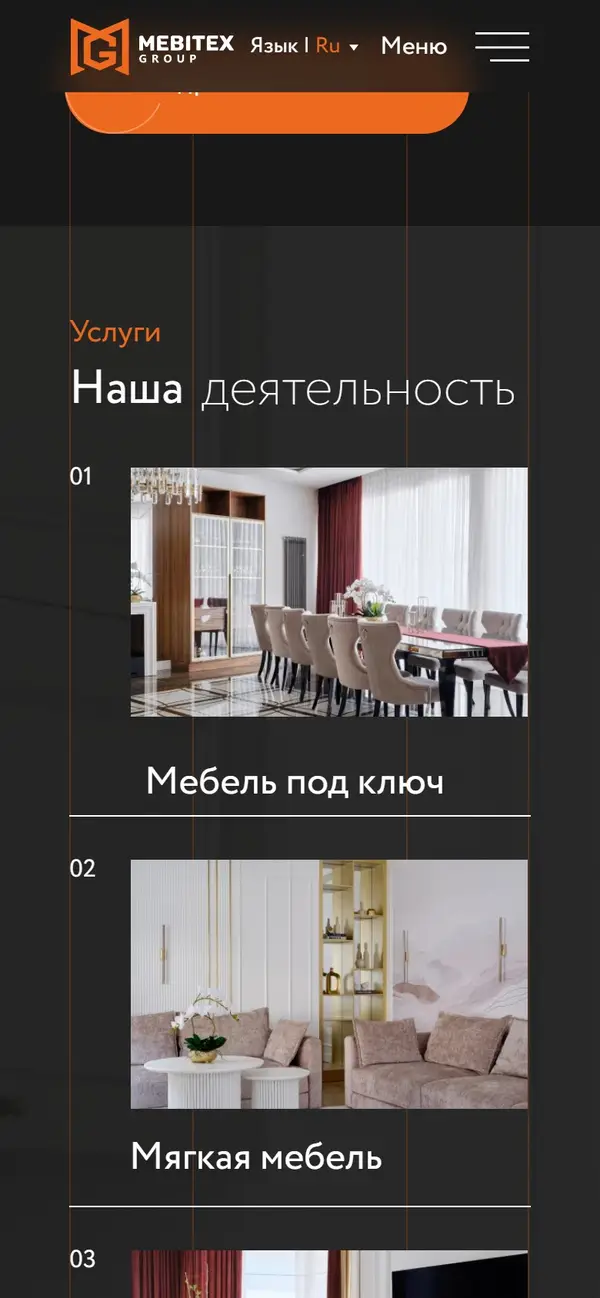 MEBITEX on a phone, screen 2